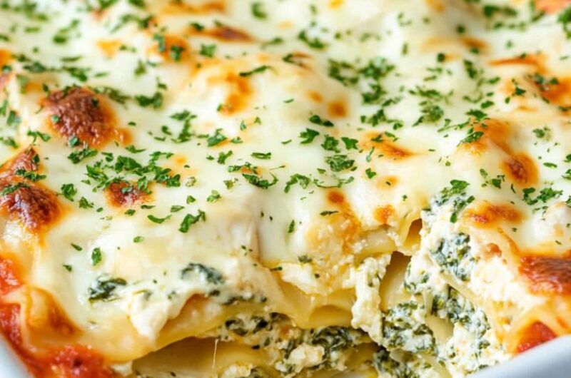 Chicken Lasagna Recipe