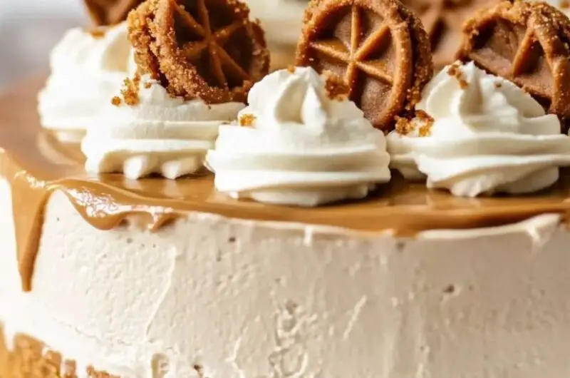 Biscoff Cheesecake
