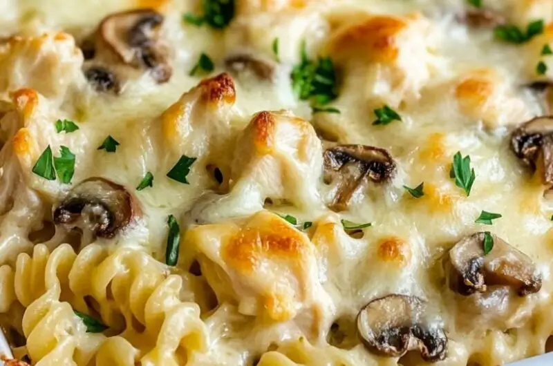 Creamy Chicken Alfredo Pasta Bake