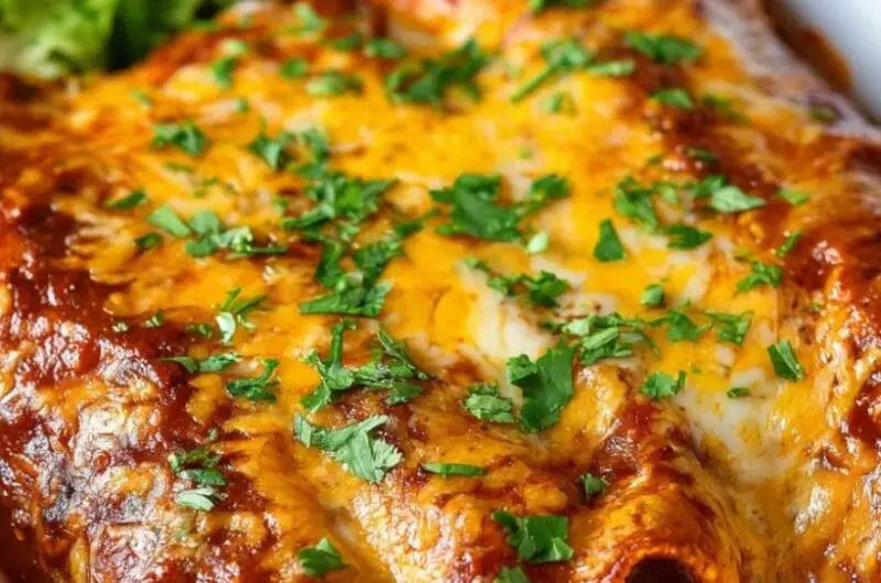 Cheese Enchiladas with Red Sauce