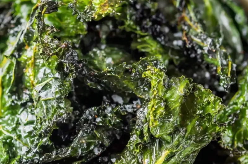 Roasted Kale Chips