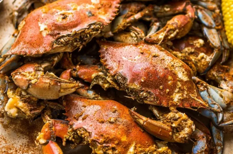 Steamed Maryland Blue Crabs